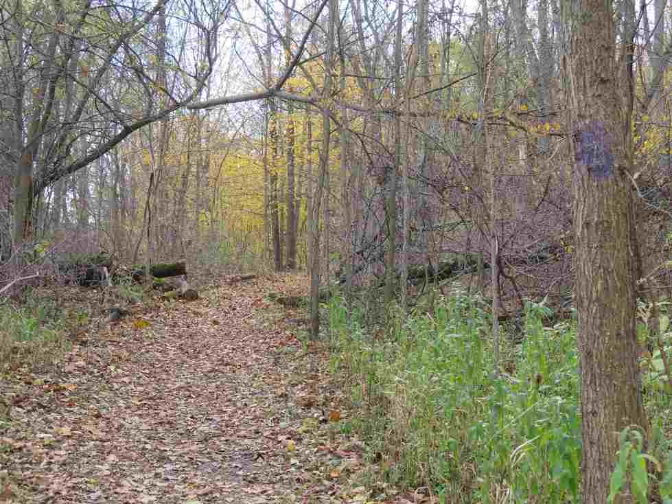 Path with trail marker on tree in the Ravines Natural Area